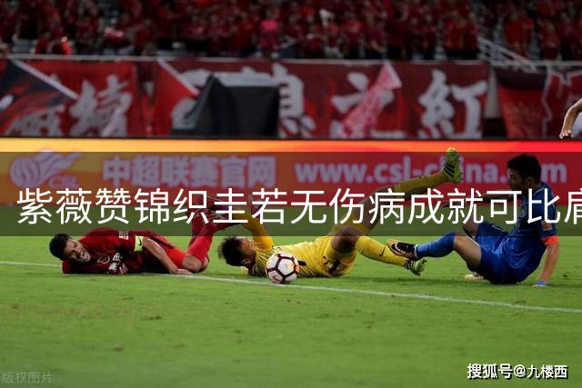 紫薇赞锦织圭若无伤病成就可比肩穆雷瓦林卡，卡恰批椰子自作自受