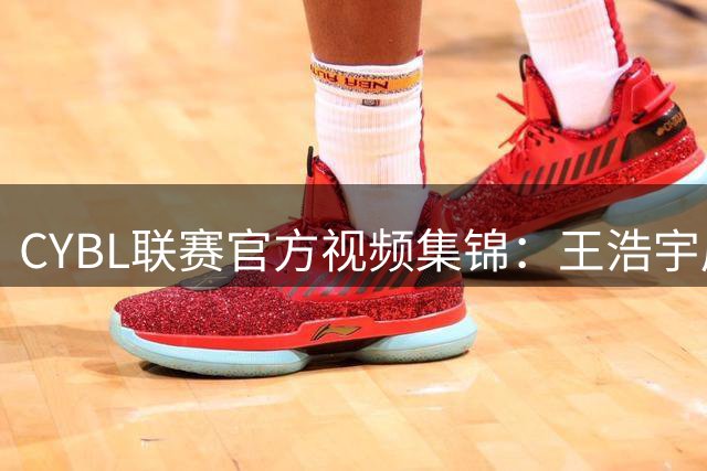 CYBL联赛官方视频集锦：王浩宇展现内线统治力